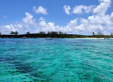 the-bahamas/new-providence/landmark/harbour-safaris