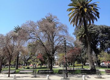 chile/metropolitan-region-of-santiago/landmark/plaza-brasil