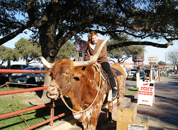 texas/fort-worth/landmark/mitchell-schoonover-home-texas-state-historical-marker