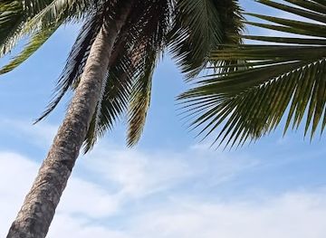 madagascar/analanjirofo/landmark/nosy-boraha