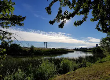Duffy's Pond Park