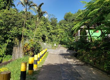 dominica/dominica-botanic-gardens/landmark/titou-gorge