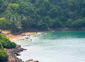 sri-lanka/unawatuna/landmark/rumassala-south-beach