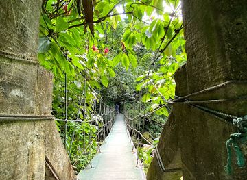 panama/el-valle-de-anton/landmark/canopy-adventure