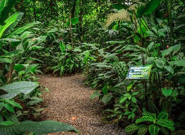 costa-rica/la-fortuna-waterfall/landmark/ecocentro-danaus