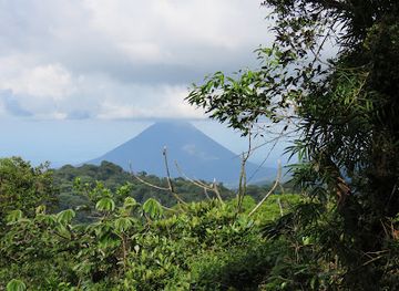 costa-rica/arenal-volcano-area/landmark/la-reserva-bosque-nuboso-santa-elena