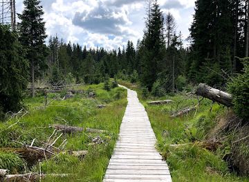 czechia/sumava-national-park/landmark/cikanska-slat