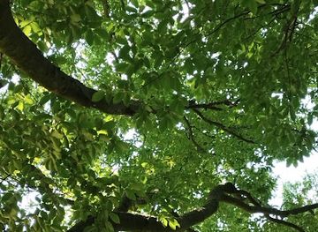 belgium/mons/landmark/square-de-la-prison-de-mons