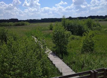poland/kampinos-national-park/landmark/sciezka-dydaktyczna-skrajem-puszczy