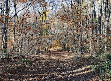 austria/vienna-woods/landmark/ottakringer-wald
