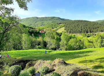 serbia/toplica/landmark/water-mill-taor-springs