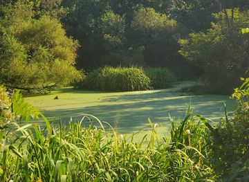 kansas/kansas-city/landmark/cave-spring-park
