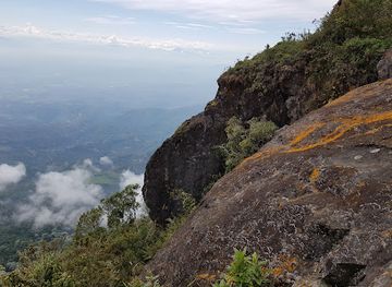 colombia/cauca-valley/landmark/cerro-pico-de-loro-o-de-oro