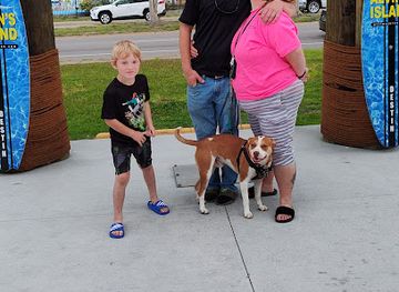 florida/destin-beach/landmark/alvin-s-island-destin-318