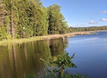 canada/golden-horseshoe/landmark/copeland-forest