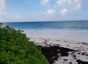 the-bahamas/eleuthera/landmark/pascal-s-oceanfront-restaurant-bar