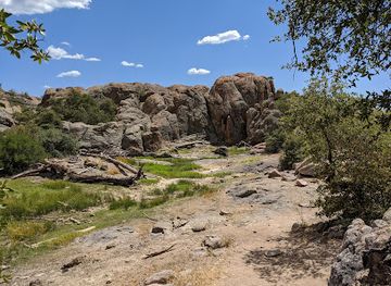 arizona/yavapai-county/landmark/watson-woods-riparian-preserve