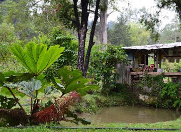 costa-rica/los-santos-region/landmark/pesca-de-trucha-rio-blanco