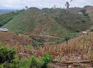 indonesia/sulawesi/landmark/lokasi-sahril-sidondo
