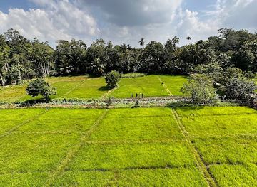 sri-lanka/hikkaduwa/landmark/rice-field-view-point