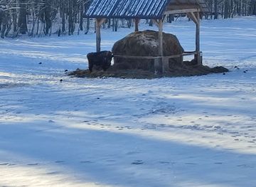 poland/białowieża-forest/landmark/viewing-shed