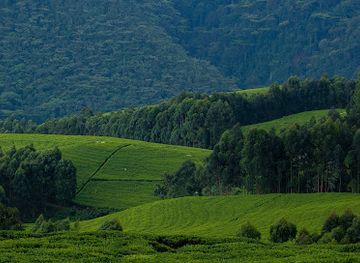 rwanda/kigali-province/landmark/wild-wonders-africa