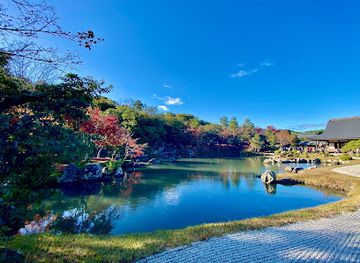japan/iyo/landmark/arashiyama-bamboo-forest