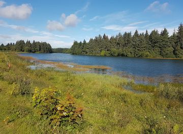 united-kingdom/angus/landmark/crombie-country-park
