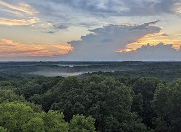 indiana/morgan-monroe-state-forest/landmark/martin-state-forest