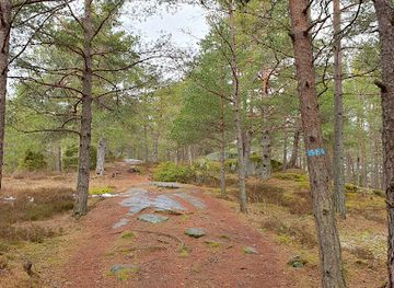 norway/vestfold/landmark/hjertnesskogen