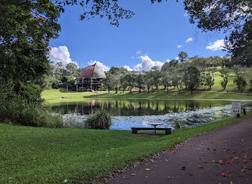 australia/top-end/landmark/treetop-challenge-big-pineapple-australia-s-highest-adventure-park
