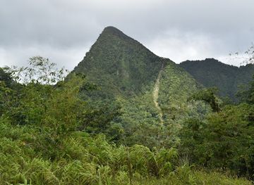 saint-lucia/choiseul-quarter/landmark/des-cartier-trail