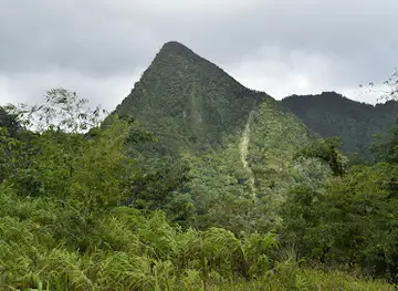 Des Cartier Trail