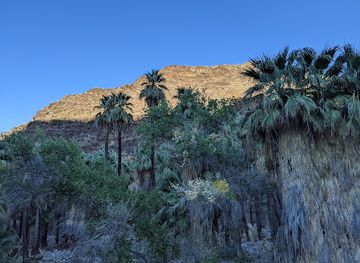 california/palm-desert/landmark/indian-canyons