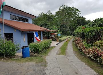 panama/volcan/landmark/boquete-bees-and-butterflies