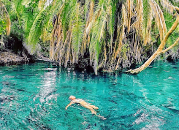 tanzania/kilimanjaro-region/landmark/kikuletwa-springs-maji-moto