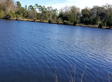 florida/big-bend/landmark/big-bend-wma