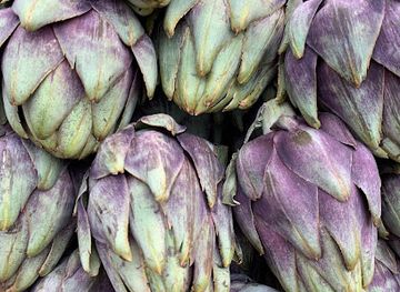 israel/tel-aviv/carmel-market/landmark/taste-israel