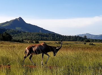 eswatini/hlane-royal-national-park/landmark/mlilwane-game-sanctuary