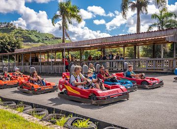 puerto-rico/luquillo/landmark/carabali-rainforest-park