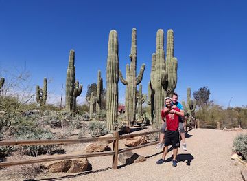 arizona/mesa/landmark/riparian-preserve-at-water-ranch