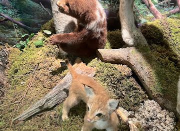 estonia/laane-county/landmark/estonian-museum-of-natural-history