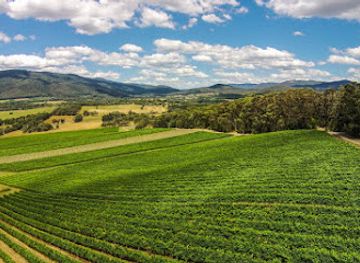 australia/yarra-valley/landmark/giant-steps