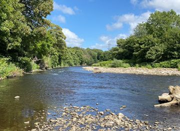 united-kingdom/west-glamorgan/landmark/forest-farm-country-park