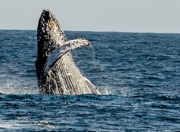 cabo-verde/sal/landmark/boa-vista-tours