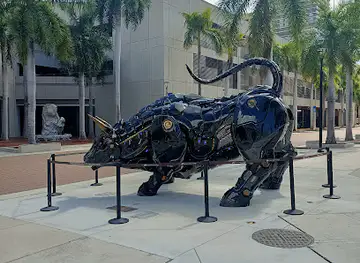 Miami Bull