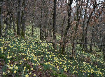 luxembourg/minette/landmark/via-botanica