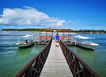 Jetty to Ile aux Cerfs the Golf Course and Ilot Mangénie
