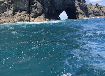 new-zealand/paihia/landmark/bay-of-islands-adventures-ltd