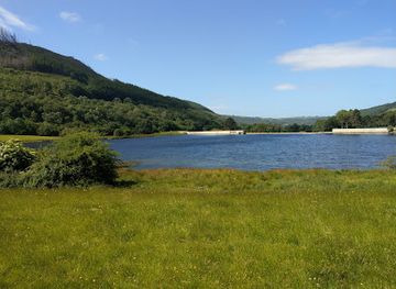 united-kingdom/cardiganshire/attraction/the-magic-of-life-butterfly-house-2